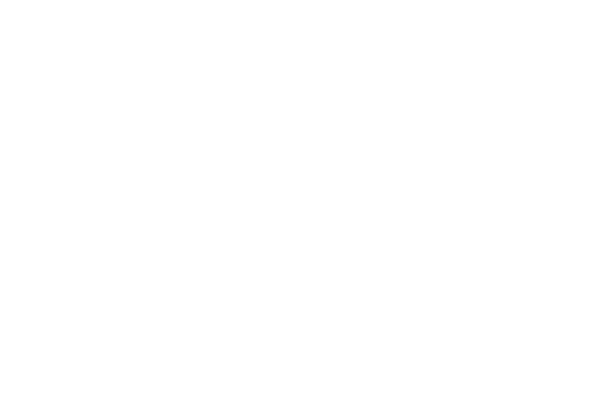 Case Logo